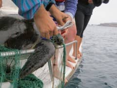 Drama on the High Seas in Ecuador! Drama on the High Seas in Ecuador!