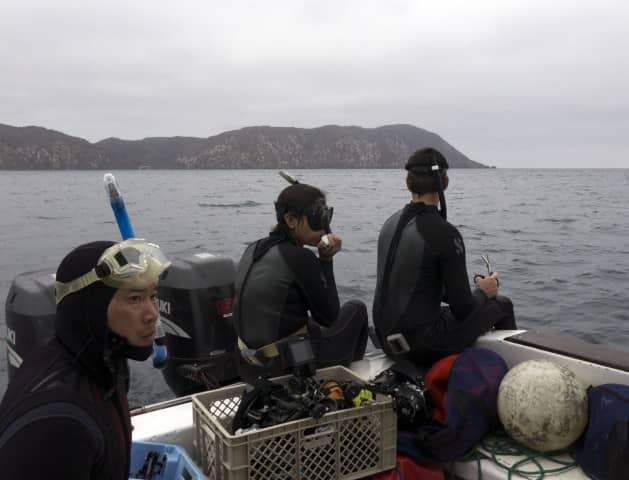 Larry, Andrea and Janneman, waiting for the whale to surface again.