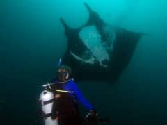 Ecuador and Volunteer Tourism Ecuador and Volunteer Tourism