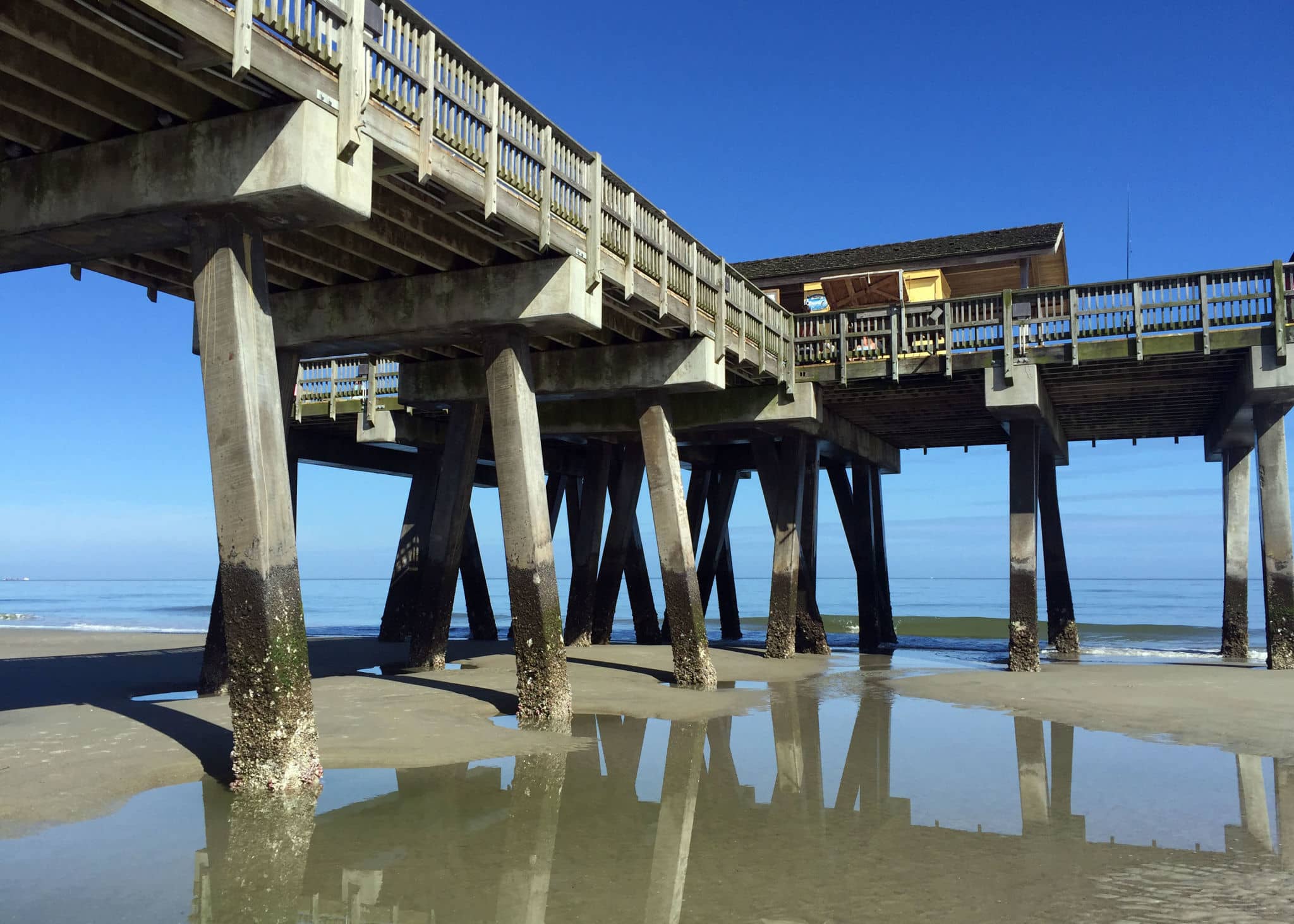 A Visit to Tybee Island's Marine Science Center Travels with Tam!