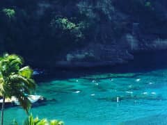 Home from St. Lucia! Home from St. Lucia!
