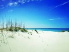 Visit Florida’s Crazy Food Festivals Visit Florida’s Crazy Food Festivals