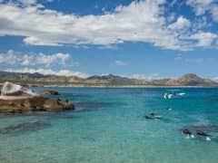 Join Me on an Incredible Adventure to the Baja Peninsula and Sea of Cortez in Mexico! Join Me on an Incredible Adventure to the Baja Peninsula and Sea of Cortez in Mexico!