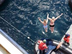 An Amazing Woman Plunging into 50 in Antarctica! An Amazing Woman Plunging into 50 in Antarctica!