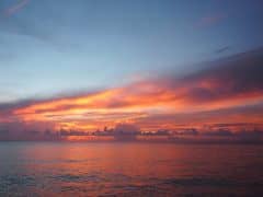 No Matter How far I Roam, I always come Home to Cozumel No Matter How far I Roam, I always come Home to Cozumel