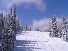 Why You Should Experience a Weekend in Wonderful Whistler, Canada! Why You Should Experience a Weekend in Wonderful Whistler, Canada!