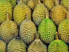 Savoring Jakarta, also known as The Big Durian Savoring Jakarta, also known as The Big Durian
