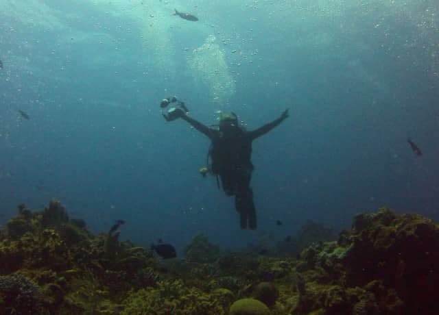 dive operators in Cozumel, best of cozumel diving, cozumel diving, 2 tank boat dive, cozumel, mexico