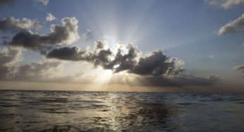 Fab Friday Photos: Cozumel Dive day 3