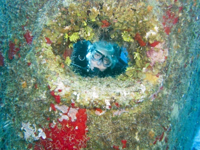 dive operators in Cozumel, best of cozumel diving, cozumel diving, 2 tank boat dive, cozumel, mexico