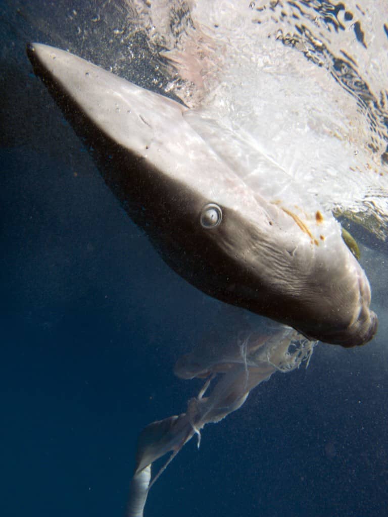 august 2014 | travels with tam!