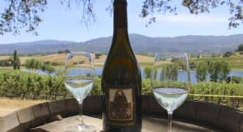 Napa Valley: A Harvest Celebration at Quintessa Vineyard