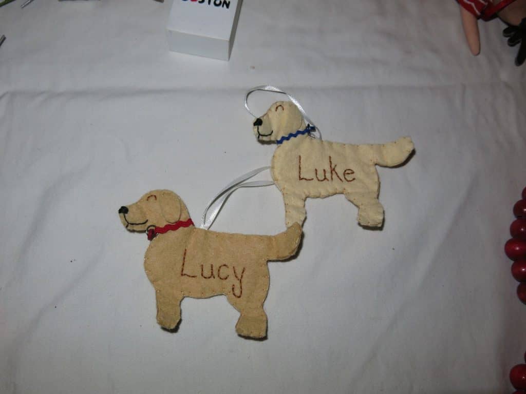 dog, dogs, mans best friend, unconditional love, empty nest dogs