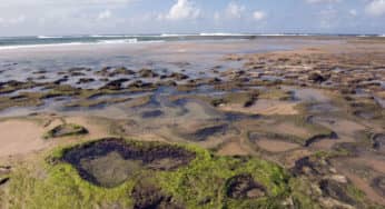 Fab Photos Friday: Beaches!