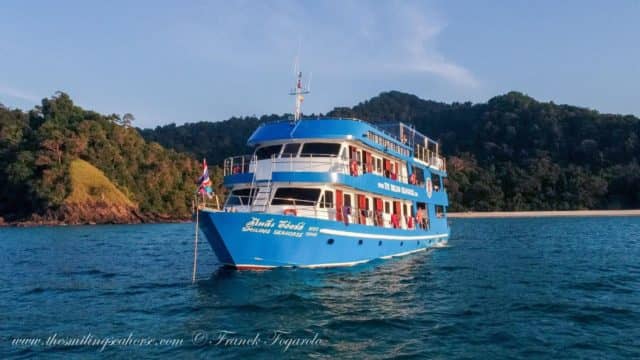 amazing underwater life, mergui archipelago, smiling seahorse