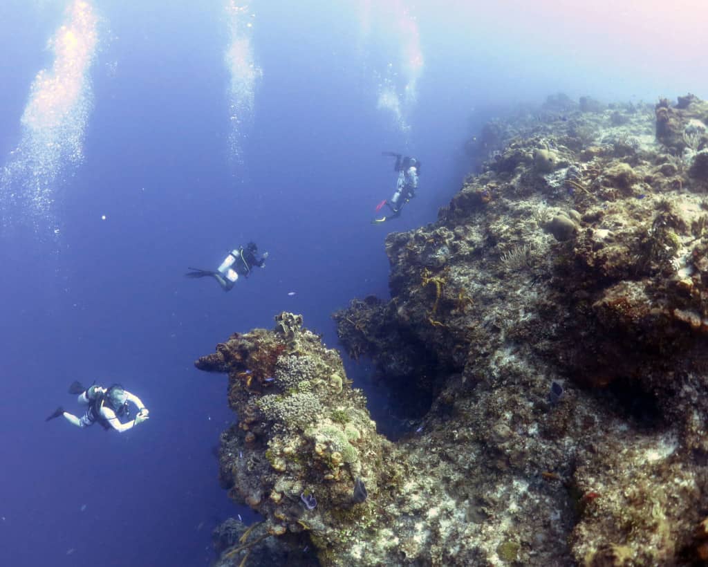 a photo cannot capture the wonder of it.