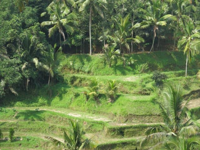Bali, Hot springs, volcano, volcanoes