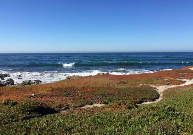 17 mile scenic drive California coast, 17 mile scenic drive, pebble beach drive, spanish bay