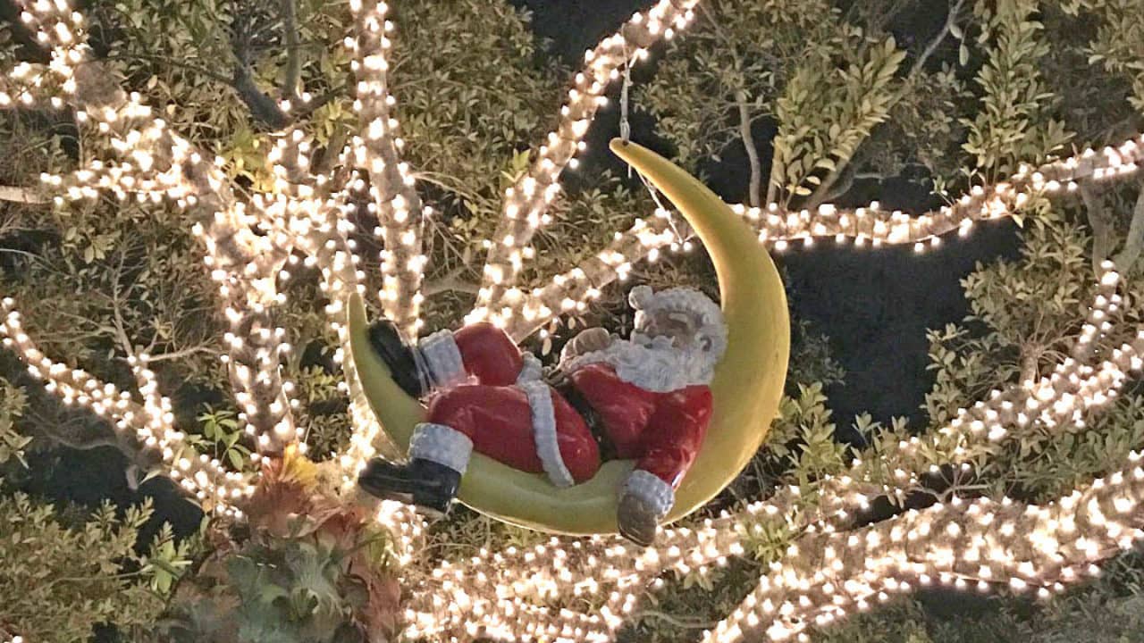 Christmas 2022 Santa Claus Naples Fl Amazing, But It Snows In Naples Florida Every Christmas Season! | Travels  With Tam