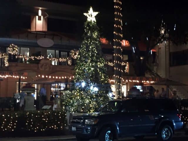 it snows in naples florida, snow in naples, let it snow, naples