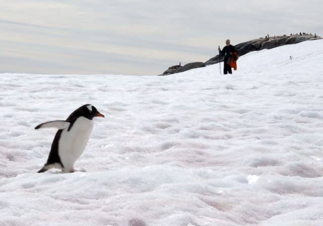 over 50 travel groups, over 50 travel, over50, antarctica, Antarcitica expedition