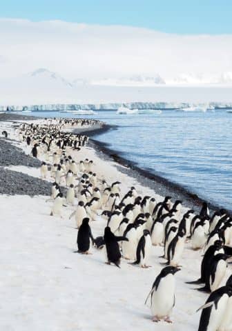 over 50 travel groups, over 50 travel, over50, antarctica, Antarcitica expedition