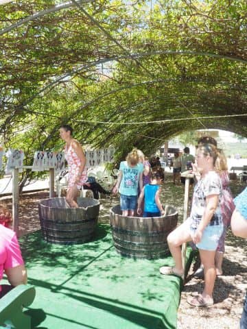 wine harvest, texas wine, texas hill country, harvest fest, fall creek vineyards, tow, harvest fest at fall creek
