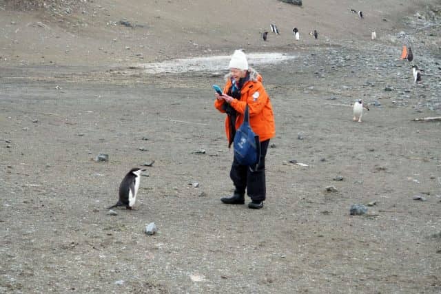 over 50 travel groups, over 50 travel, over50, antarctica, Antarcitica expedition