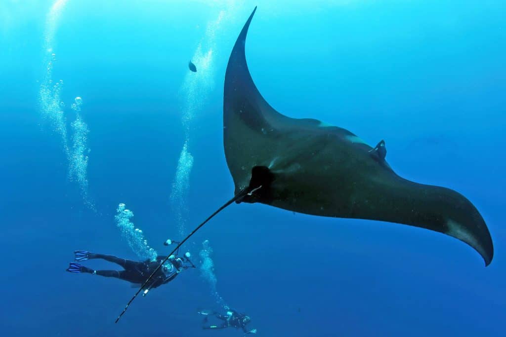 ray of hope expeditions