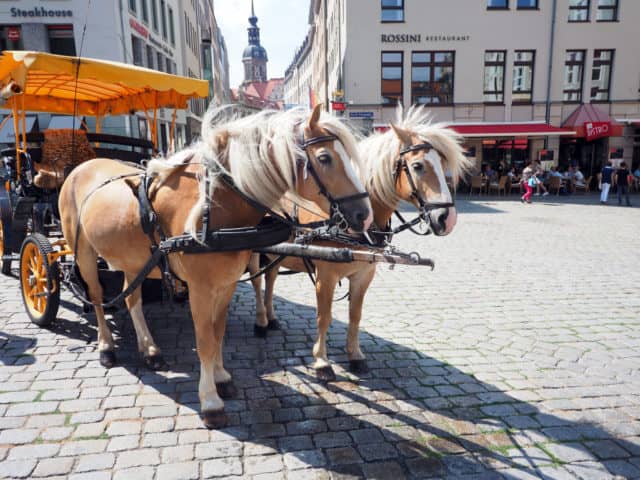 florence on the elbe, elbe river, dresden, viking cruises