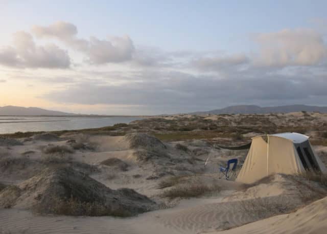 la paz, magdalena bay, gray whales, la paz, whale shark, red travel mexico