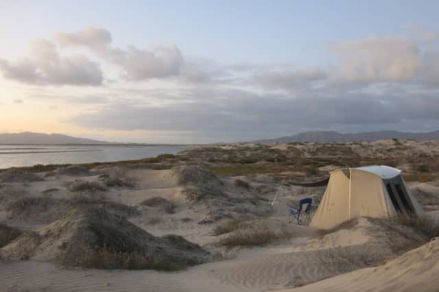 reds eco camp, eco camp, magdalena bay, baja, gray whales, whale sharks