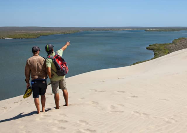 la paz, magdalena bay, gray whales, la paz, whale shark, red travel mexico