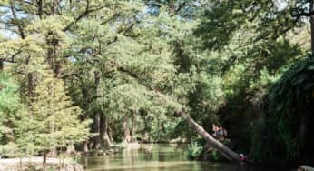 Photo Friday takes us to The Hill Country of Texas