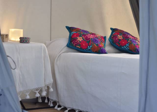 magdalena bay, eco camping, whale watching in magdalena bay, gray whale migration, magdalena bay baja, gray whales