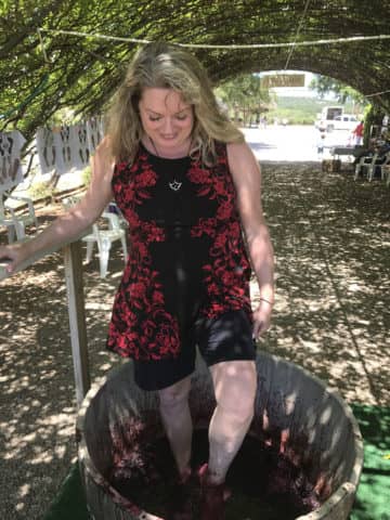 wine harvest, texas wine, texas hill country, harvest fest, fall creek vineyards, tow, harvest fest at fall creek