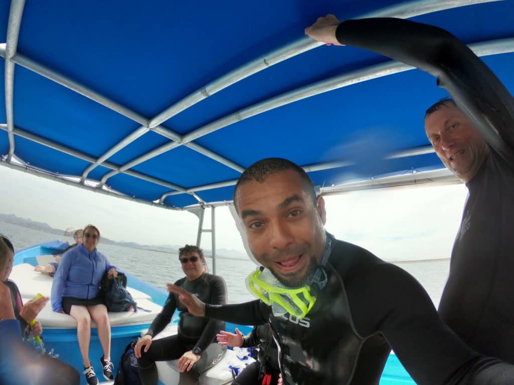 whale shark, wwim with whale sharks, snorrkeling with whale sharks