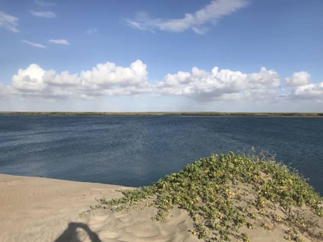 magdalena bay, eco camping, whale watching in magdalena bay, gray whale migration, magdalena bay baja, gray whales