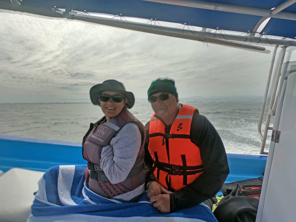 isla espiritu santo, los islotes, sea lions in La Paz, snorkeling in cabo