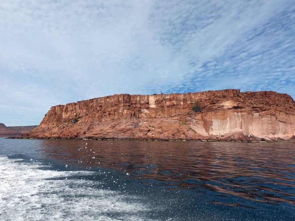 isla espiritu santo, los islotes, sea lions in La Paz, snorkeling in cabo