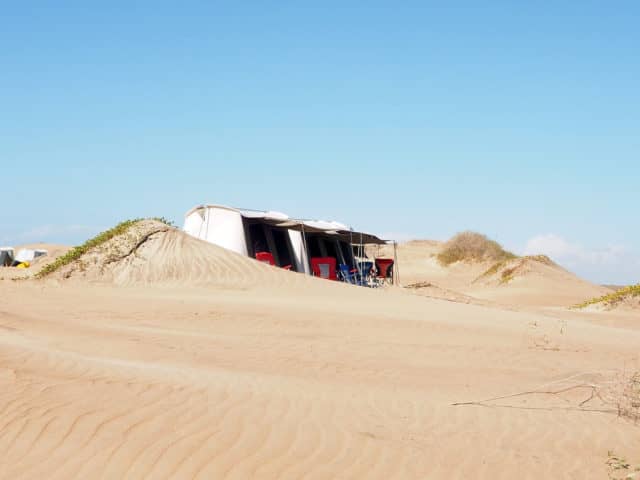 magdalena bay, eco camping, whale watching in magdalena bay, gray whale migration, magdalena bay baja, gray whales