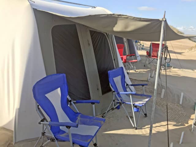 magdalena bay, eco camping, whale watching in magdalena bay, gray whale migration, magdalena bay baja, gray whales
