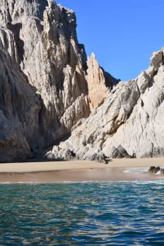 whale watching in cabo, humpback whales, whale watch cabo, ginormous humpback, cabo san lucas