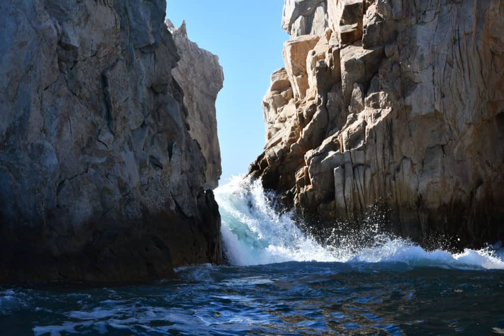whale watching in cabo, humpback whales, whale watch cabo, ginormous humpback, cabo san lucas