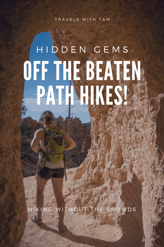 off the beaten path, path, yellowstone, national park, carry your bear spray, hike off the beaten path, off the beaten path hikes