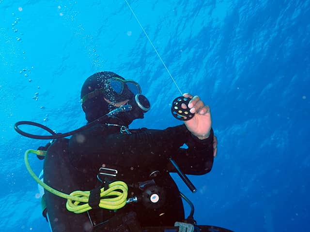 dive operators in Cozumel, best of cozumel diving, cozumel diving, 2 tank boat dive, cozumel, mexico