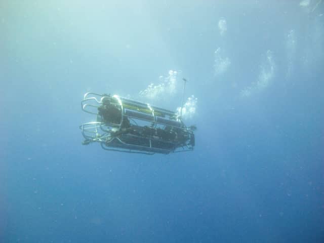 great white shark diving, great white shark, diving, guadalupe