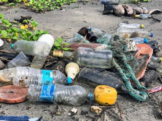 old dog learn new tricks, plastic problem, plastic free july