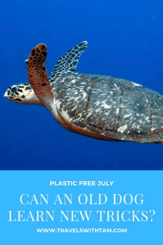 old dog learn new tricks, plastic problem, plastic free july
