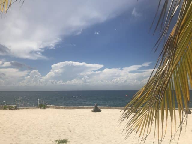 If you are Looking for Luxury in Cozumel go to The Cabana Beach at  Chankanaab!